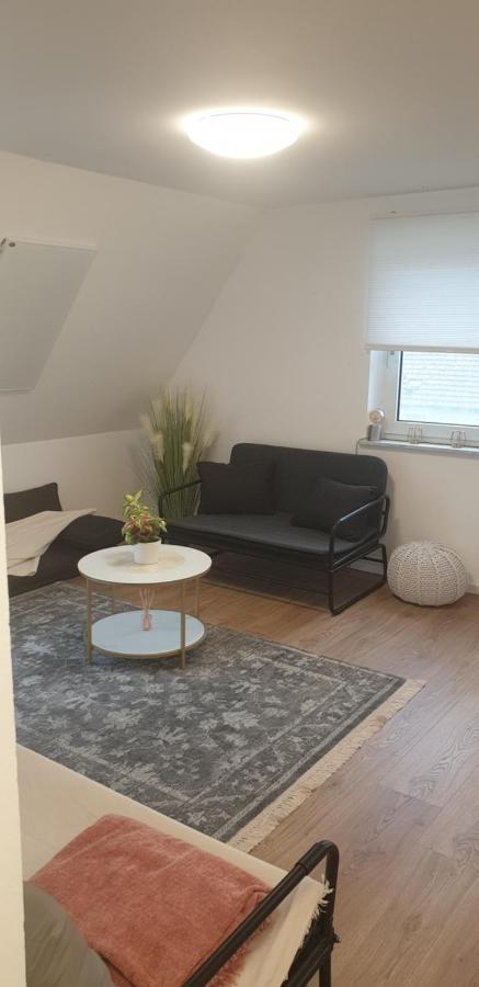 Frisch Renoviert Mit Dachterrasse - Geniesse Ruhe Und Grun Nahe Neustadt Aisch Нойштадт-ан-дер-Айш Экстерьер фото